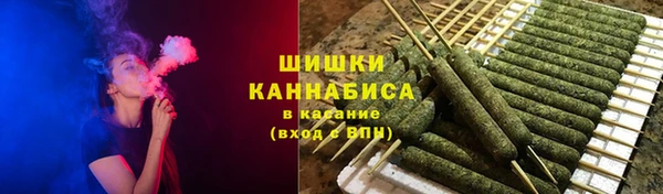 индика Магас
