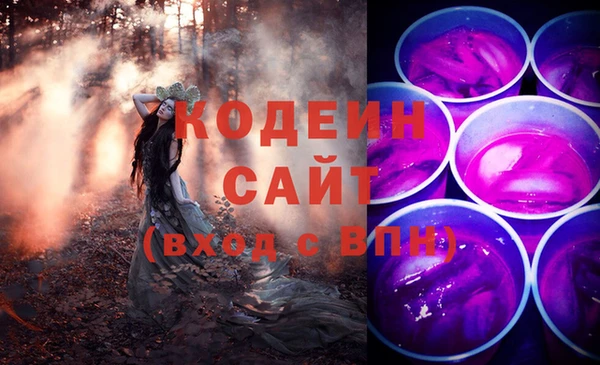 индика Магас