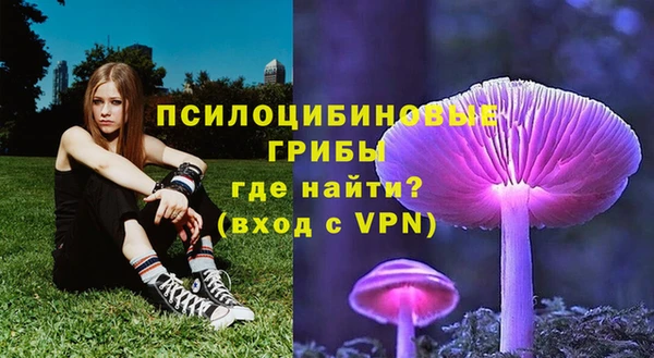 бутират Магадан