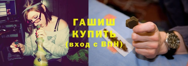 индика Магас