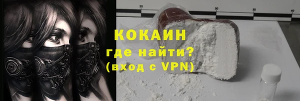 индика Магас