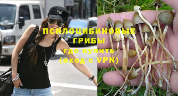 индика Магас